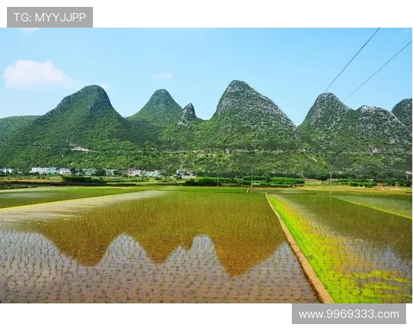 九游血战骰宝:不断更新的游戏内容带来持续的新鲜感和挑战 九游血战骰宝:不断更新的游戏内容带来持续的新鲜感和挑战